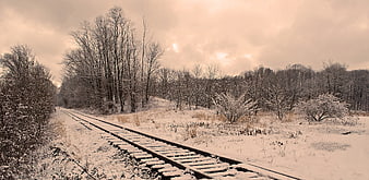 Snowy Railroad Tracks Leading Through Winter Forest