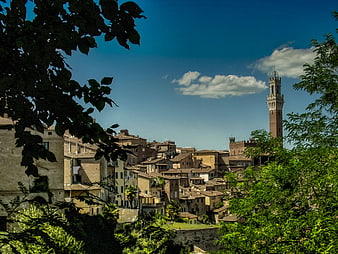 Siena Italy Cathedral Tower View Through Trees