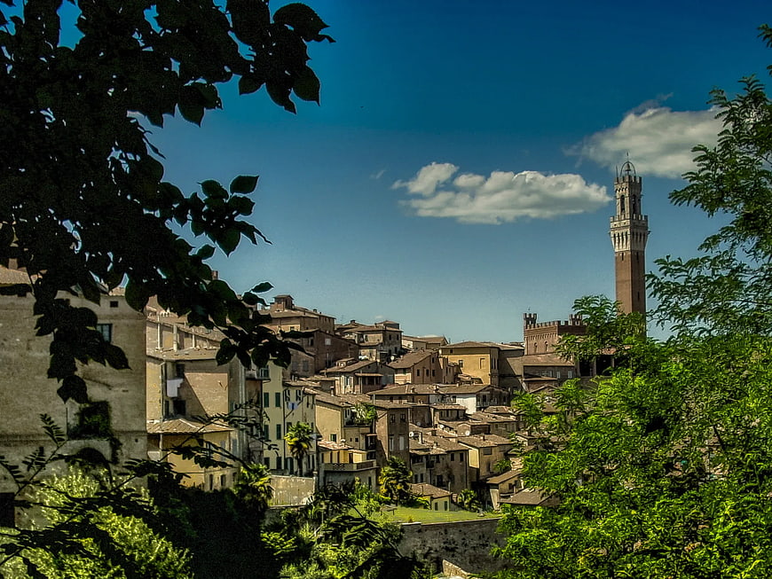 Siena Italy Cathedral Tower View Through Trees