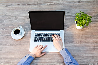 Top View of Hands Typing on Laptop with Coffee and Plant