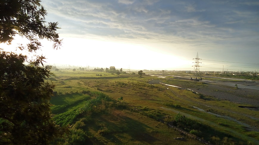Sunrise over green fields with power lines and trees