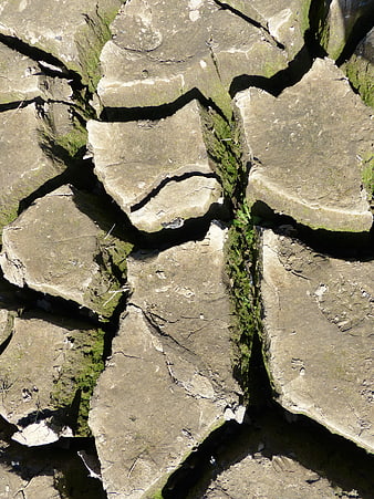 Close-up of cracked dry earth with moss in crevices