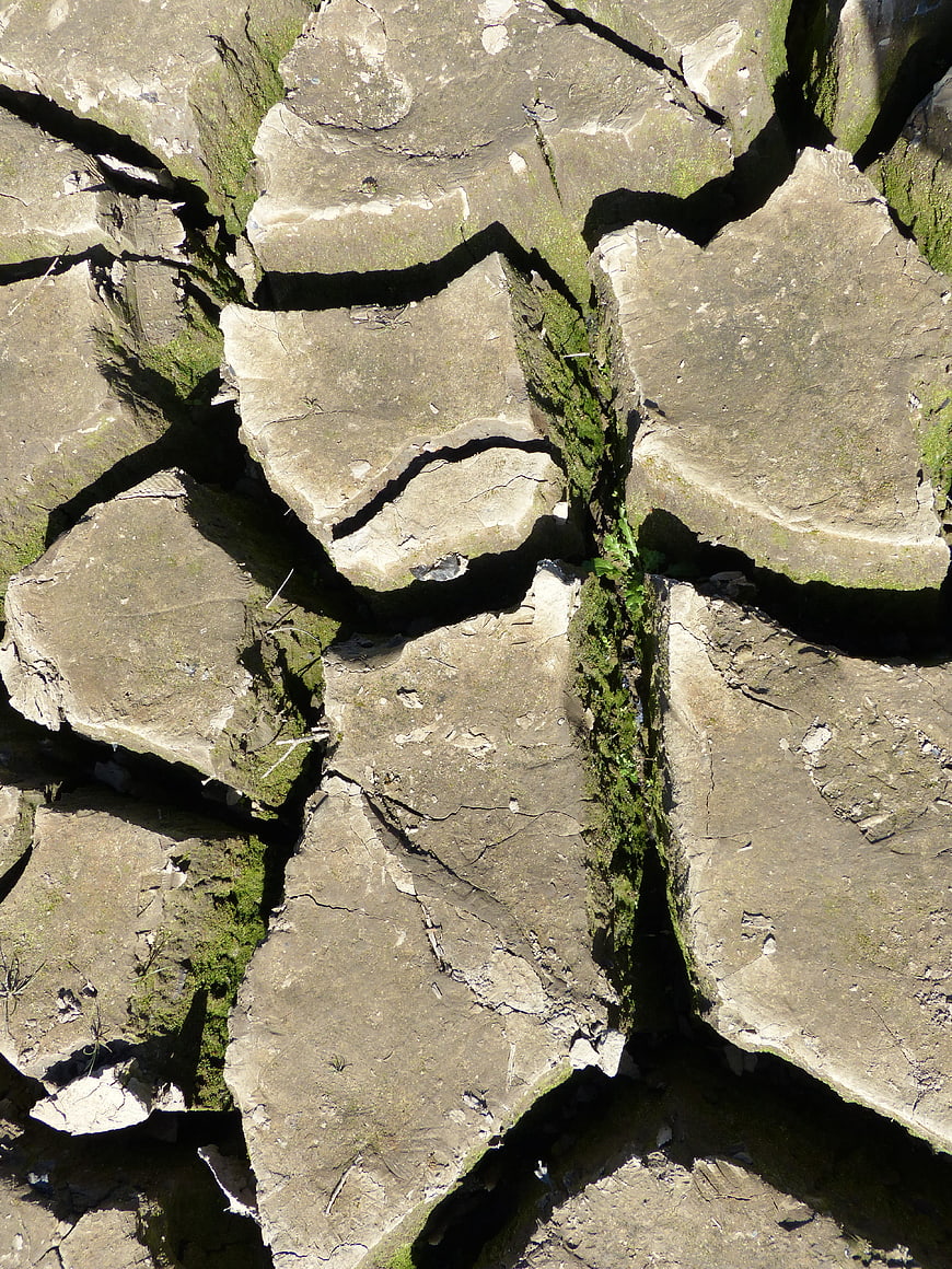 Close-up of cracked dry earth with moss in crevices