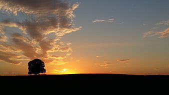 Silhouette of a lone tree against a dramatic sunset sky