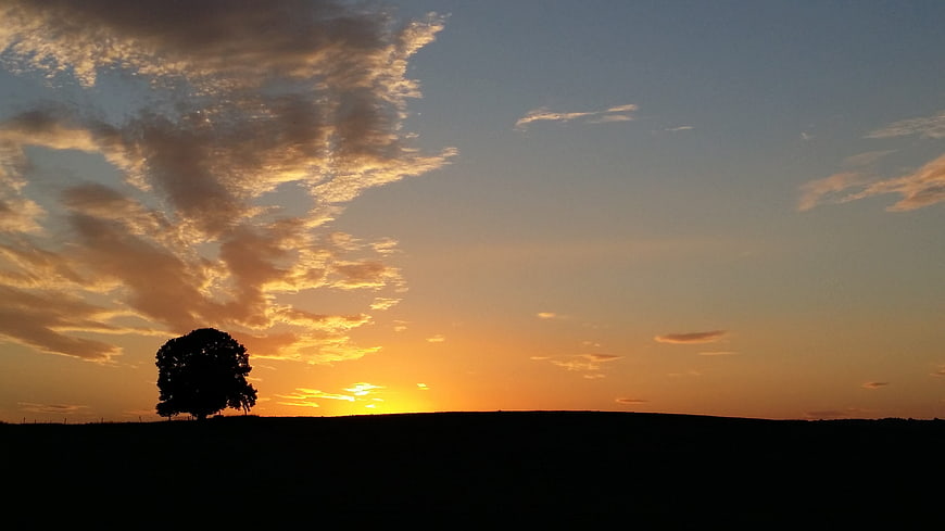 Silhouette of a lone tree against a dramatic sunset sky