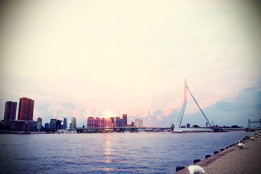 Rotterdam skyline with Erasmus Bridge at sunset