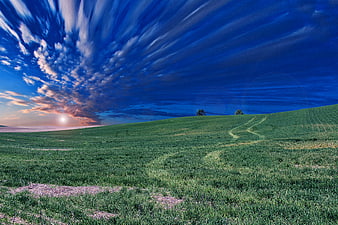 Dramatic Green Pasture with Streaking Clouds at Sunset
