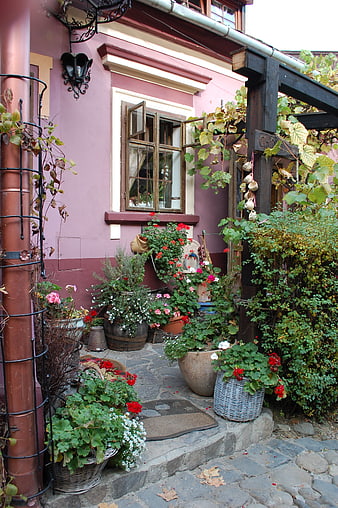 Charming Pink House with Flower Garden and Stone Path