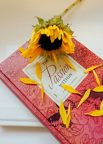 Sunflower on Red Journal Book