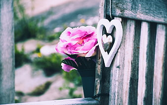 Pink Flower and White Heart on Wooden Bench