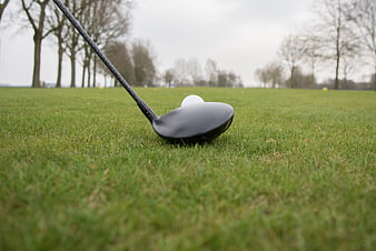 Golf Driver and Ball on Green Fairway Grass