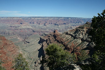Grand Canyon landscape with red rock cliffs and pine trees