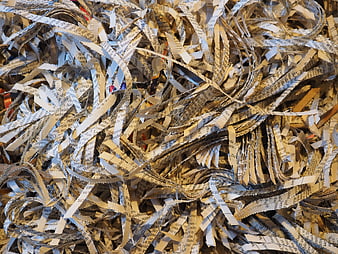 Close-up of shredded paper strips with visible text