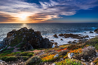 Dramatic Sunset Over Rocky Coastal Landscape with Wildflowers