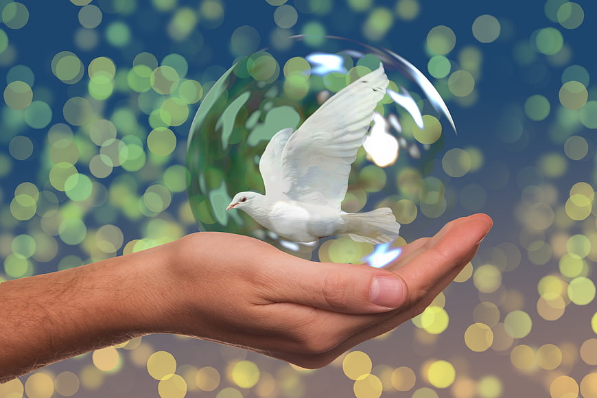 White Dove Flying from Hand in Soap Bubble