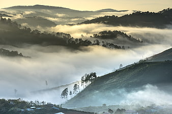 Misty Mountain Landscape with Rolling Hills and Fog
