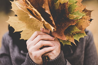 Person holding autumn maple leaves covering face