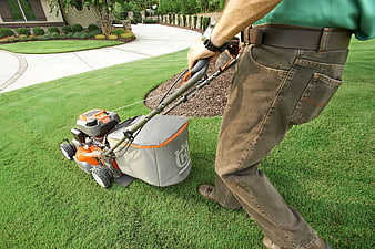 Man mowing a green lawn with a push mower in a suburban garden