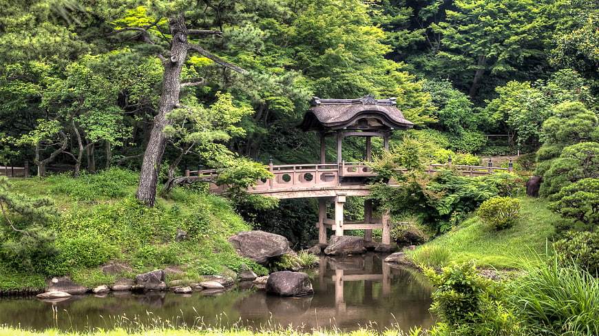 Traditional Japanese Bridge in Lush Green Garden