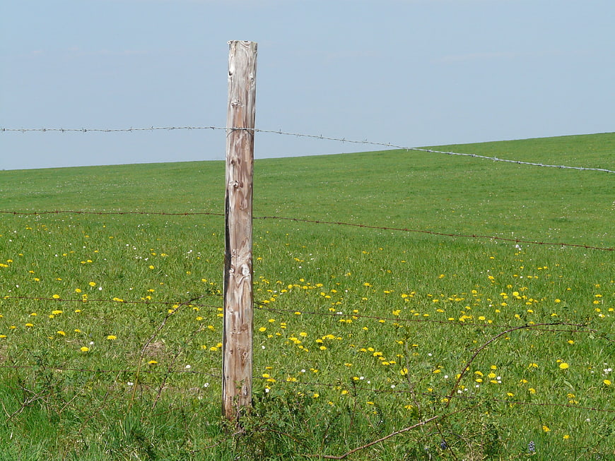 Wooden fence post in green meadow with yellow flowers
