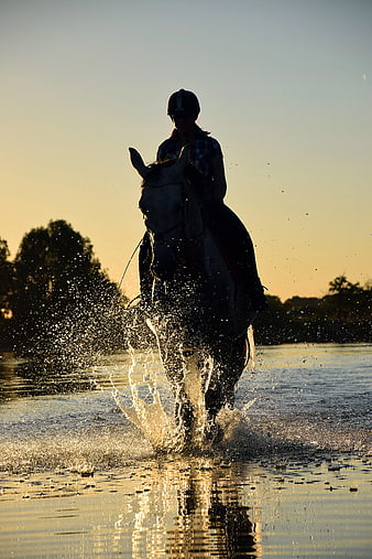 Silhouette of Horse and Rider Galloping Through Water at Sunset