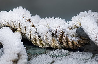 Close-up of thick rope covered in white frost crystals