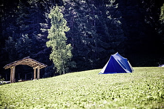 Blue camping tent on grassy hill near wooden shelter