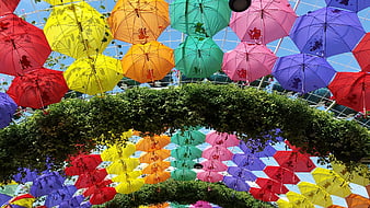 Colorful Hanging Umbrellas Under Green Archway