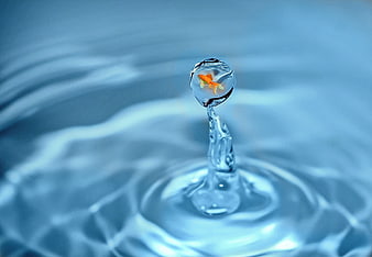 Surreal goldfish swimming inside a suspended water droplet