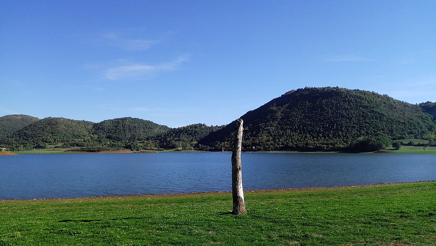 Serene Lake Landscape with Dead Tree and Green Hills