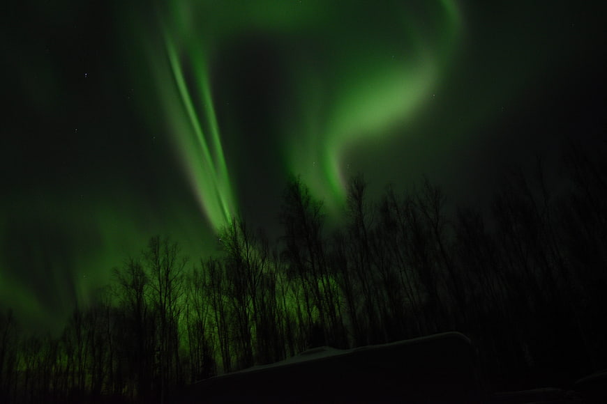 Green Aurora Borealis Over Silhouetted Winter Forest
