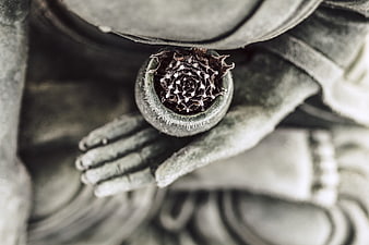 Close-up of Buddha statue hand holding small potted succulent plant
