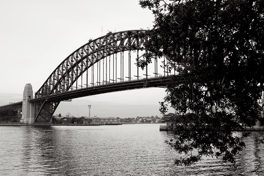 Black and white Sydney Harbour Bridge with tree foreground