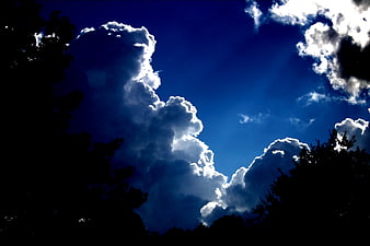 Dramatic Cumulus Clouds Against Deep Blue Sky With Silhouetted Trees