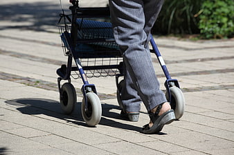 Senior Woman Walking With Blue Rollator On Paved Path