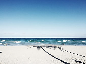 Palm Tree Shadows on White Sand Beach with Blue Ocean