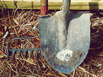 Dirty shovel and rake on mulch garden background
