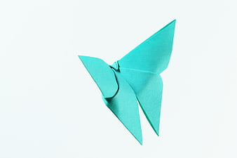 Teal Origami Butterfly on White Background