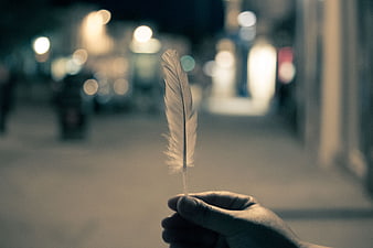 Hand holding white feather against blurred city night lights