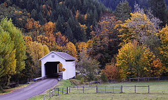 White Covered Bridge in Autumn Forest Landscape