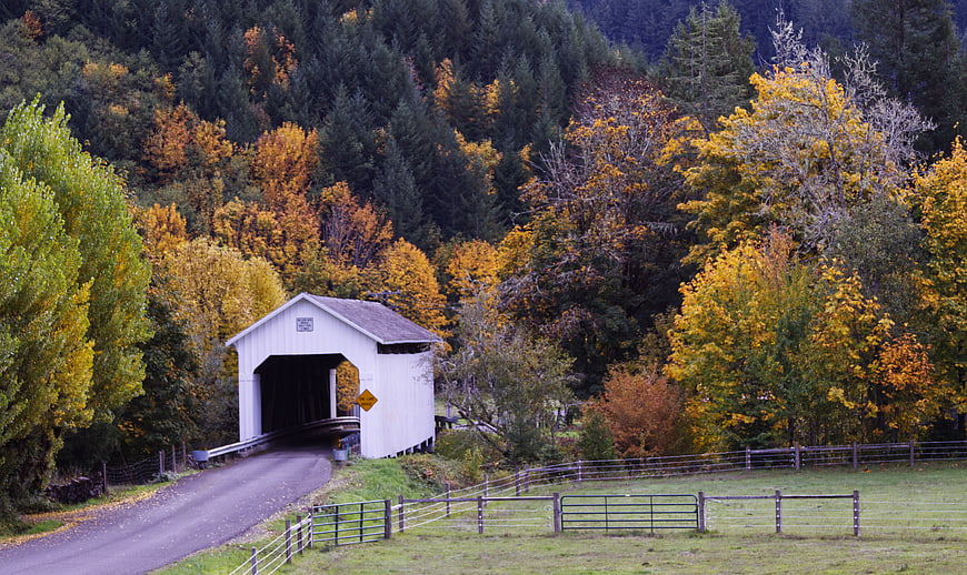 White Covered Bridge in Autumn Forest Landscape