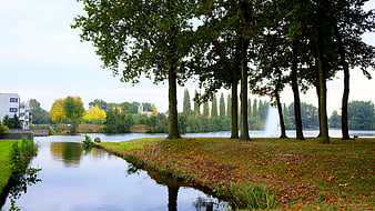 Serene Autumn Lake Landscape with Trees and Fountain