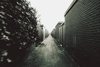 Narrow Alleyway Between Brick Walls and Hedges