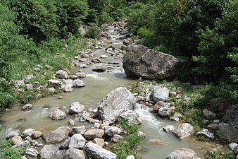 Rocky river flowing through lush green forest landscape