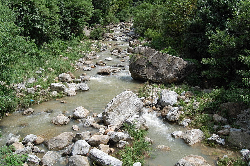 Rocky river flowing through lush green forest landscape