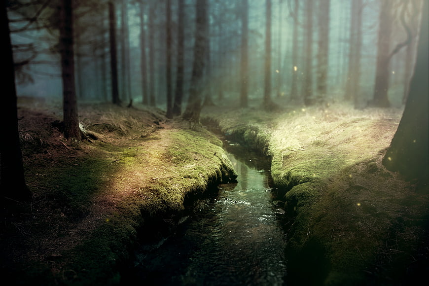 Mystical forest stream with sunbeams and mossy banks
