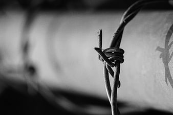 Close-up of rusty barbed wire against blurred background
