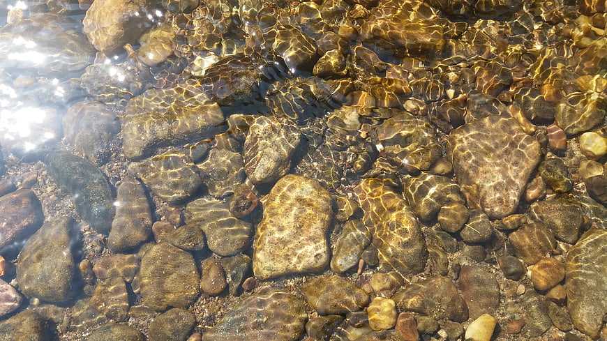 Sunlight Ripples on Clear Stream Water Over Rocks