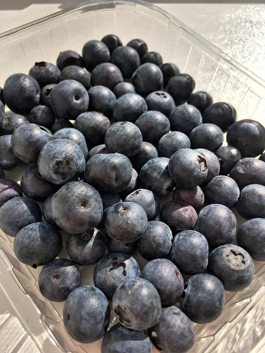 Fresh Blueberries in Clear Plastic Container Close-Up