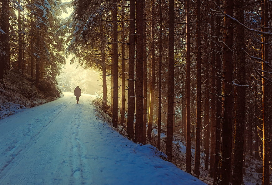 Lone Figure Walking on Snowy Forest Road at Sunrise